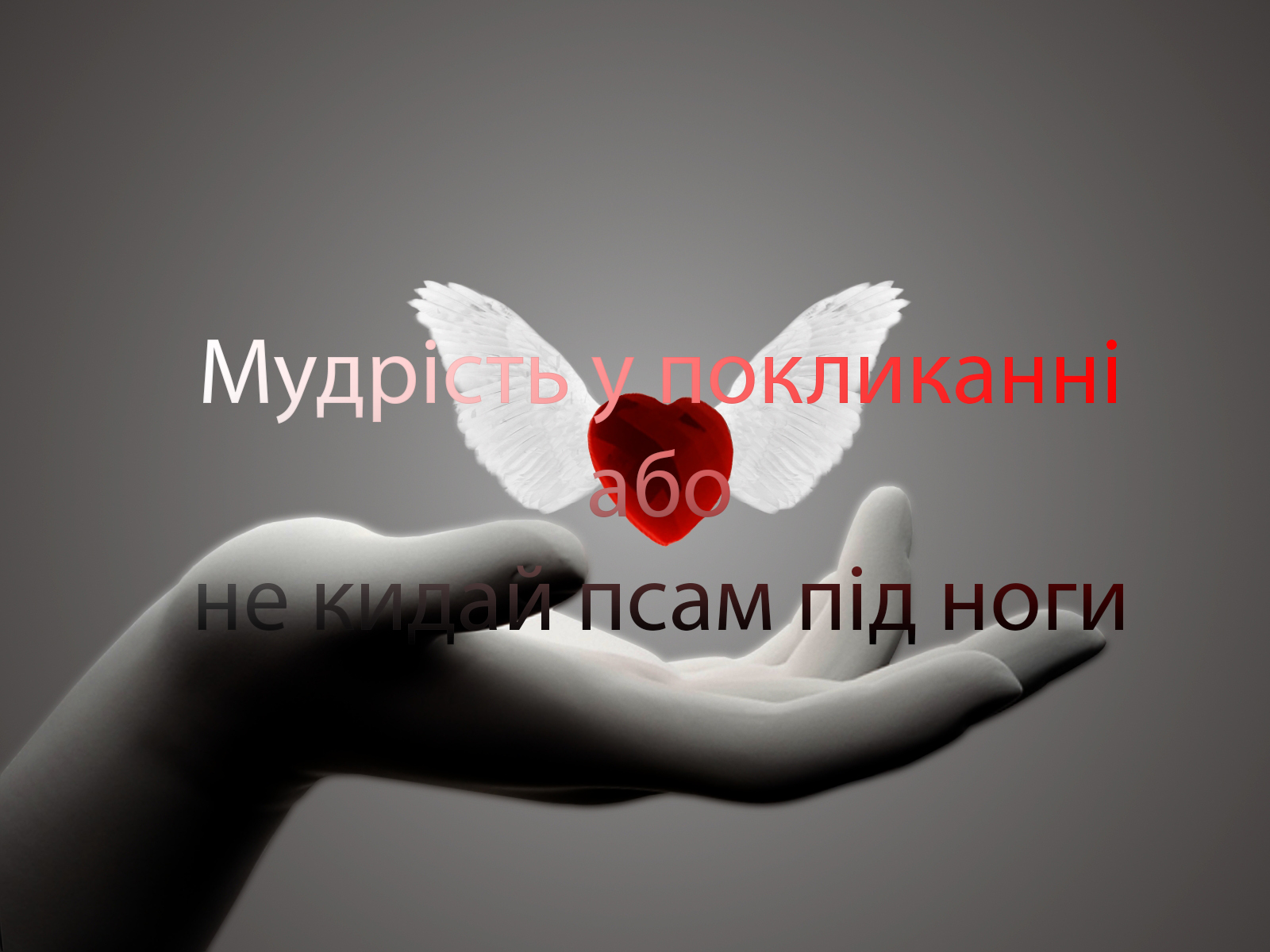 Мудрість у покликанні або не кидай псам під ноги